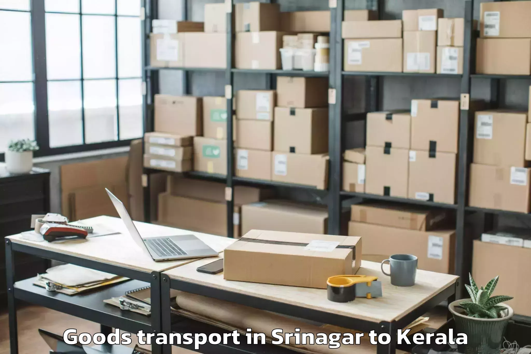 Reliable Srinagar to Kumily Goods Transport